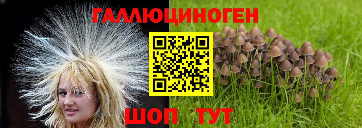 Галлюциногенные грибы ЛСД Губкин